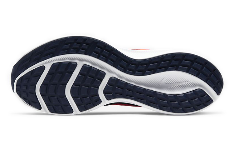 Nike Downshifter 10 Blue Red CI9981-400 Nicesnk