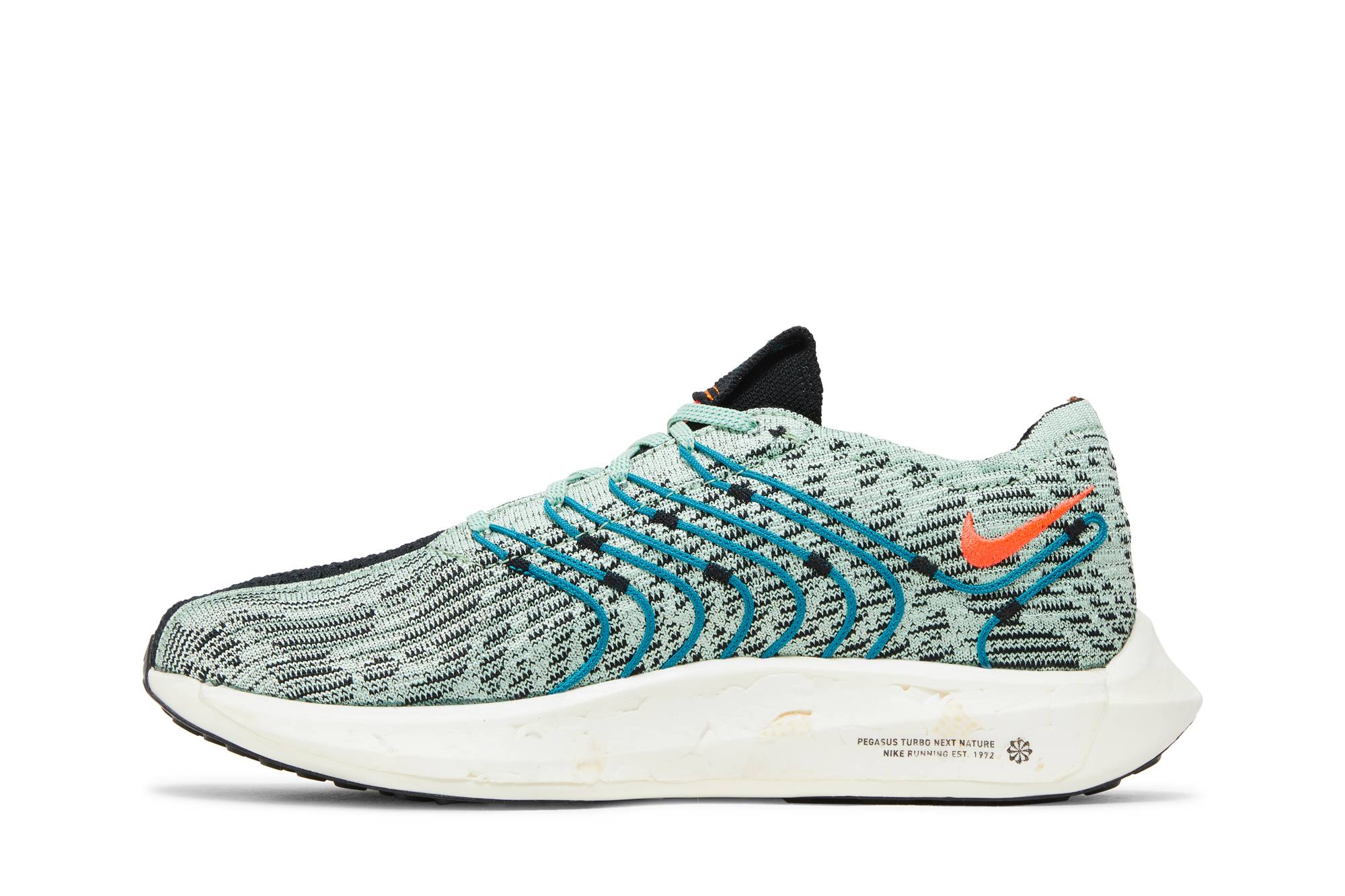 Nike Pegasus Turbo Next Nature 5 Borough Tour DZ4850-300 Nicesnk